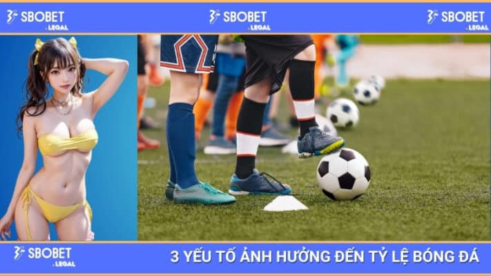 SBOBET phân tích 3 yếu tố ảnh hưởng đến tỷ lệ bóng đá